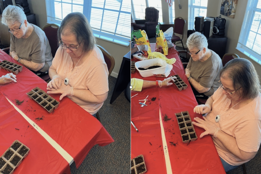 Knollwood Recap Gardening